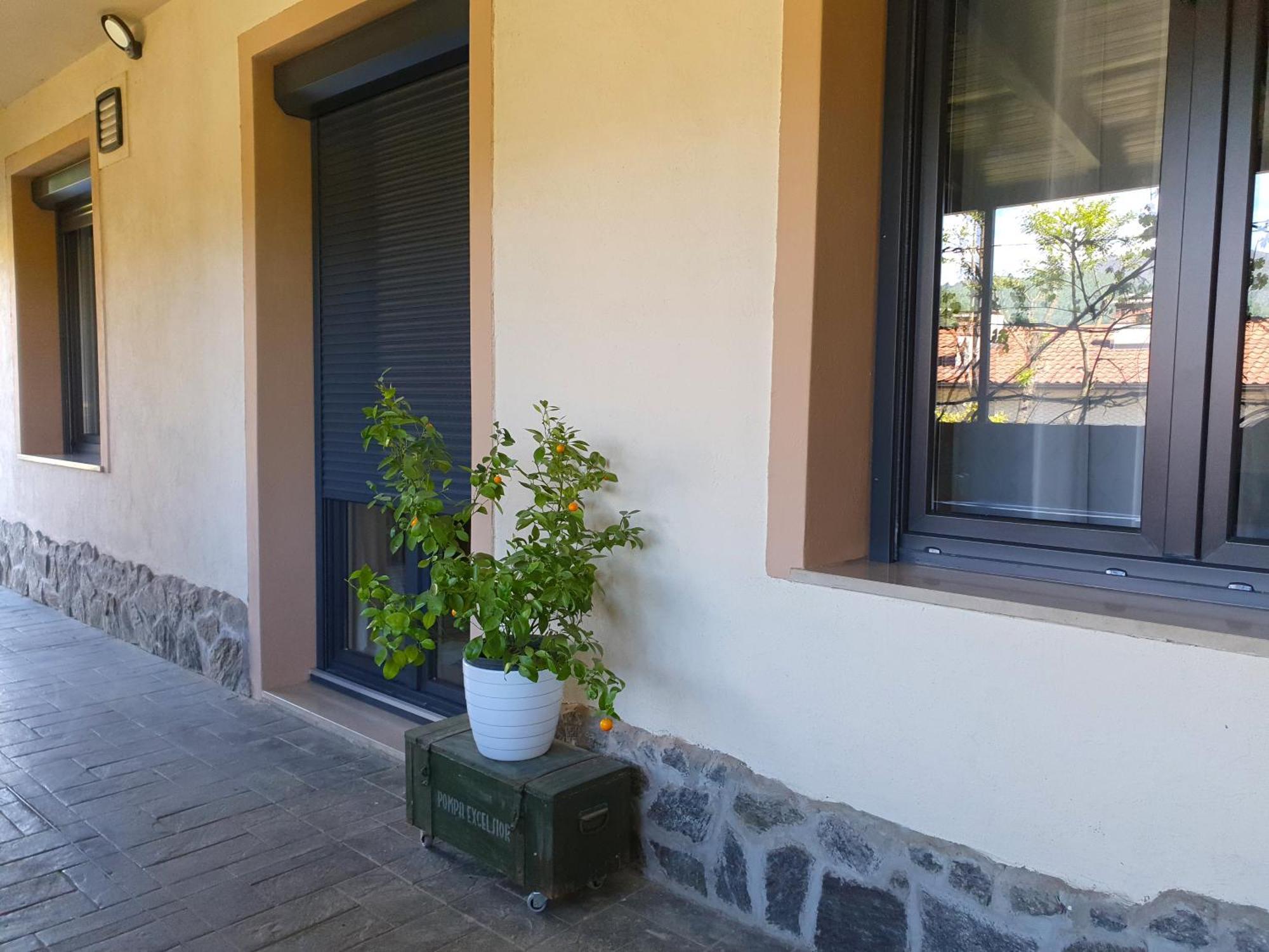 Apartment With Terrace Nona Pavla Tolmin Esterno foto