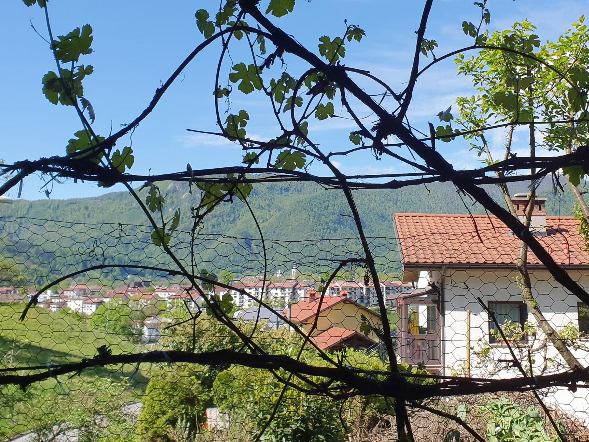 Apartment With Terrace Nona Pavla Tolmin Esterno foto